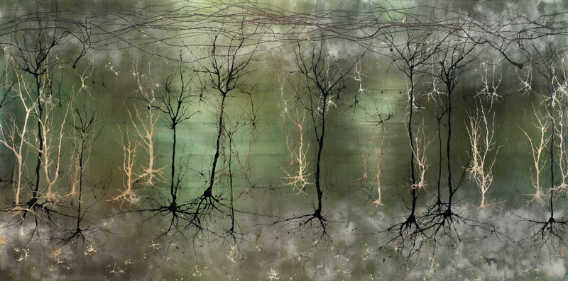 Illustration for article titled A mind-blowing gallery of the best science visualizations from 2013